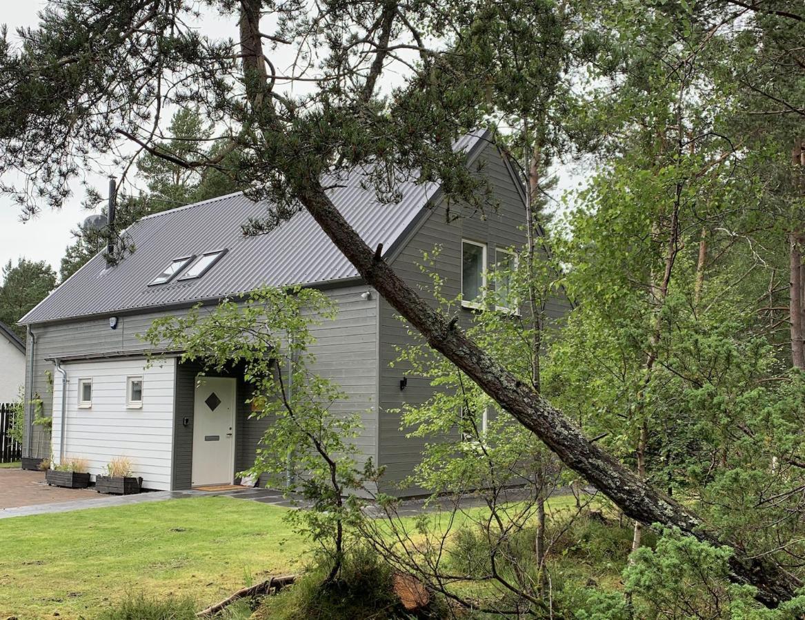 The Green Lodge Aviemore Exterior photo